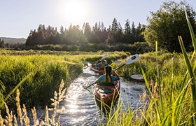 Two people kayaking through a narrow, grassy waterway with the sun shining over a forested horizon in the background.