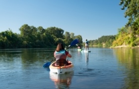 Person kayaking on a calm river alongside paddleboarders, surrounded by lush trees under a clear blue sky.