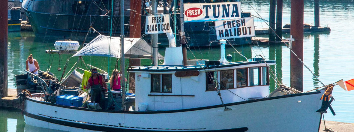 A docked fishing boat sells fresh tuna.