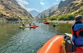 Group of people kayaking and rafting on a river surrounded by rocky canyon walls under a sunny sky.