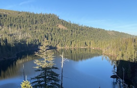 Serene forested lake surrounded by evergreen trees and hills under a clear blue sky.