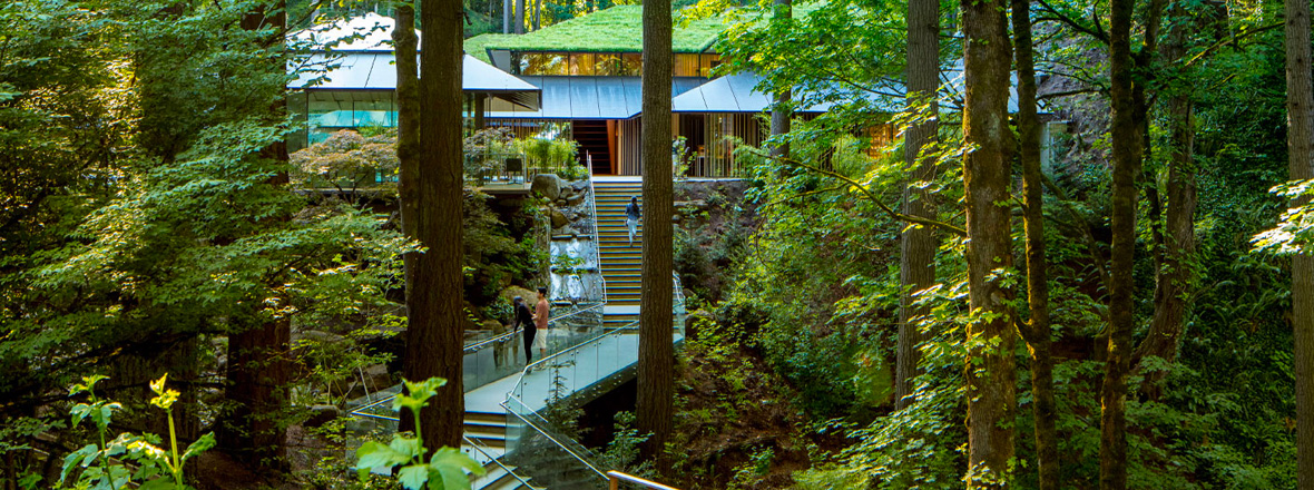 Wide shot of towering trees surrounding a modern building at the Japanese Garden.