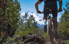 Mountain biker rides a rugged forest trail with a snow-capped peak in the background, surrounded by greenery under a clear blue sky.