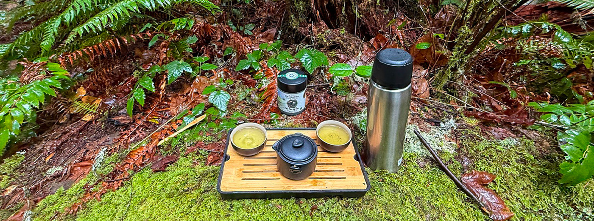 A tea set in a lush forest.