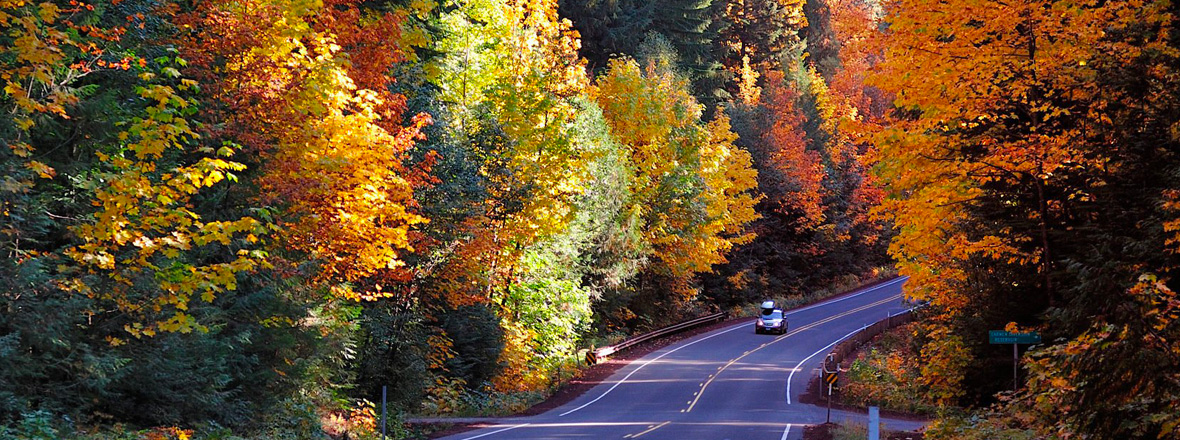 Fall colors brighten a winding Oregon road.