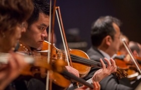 Close-up of orchestra musicians playing violins during a live performance.