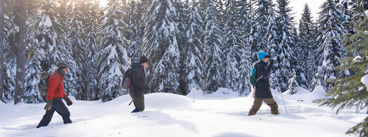 Three people in snow gear snowshoeing through calf-deep snow on a winter day.