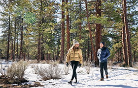 Two people walk through a snowy forest trail surrounded by tall pine trees on a sunny winter day.