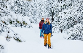 Two people snowshoeing through a snowy forest trail surrounded by snow-covered evergreen trees.