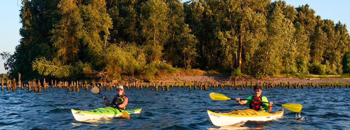 Two people kayaking on a body of water on a sunny day.
