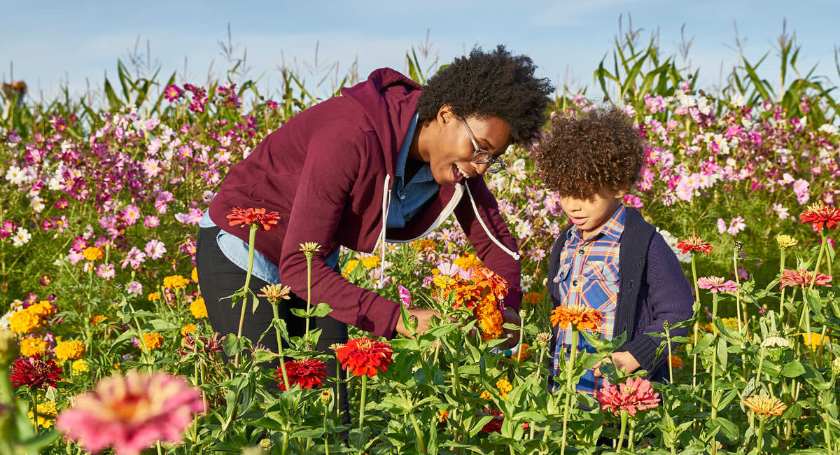 Adult and child picking flowers together in a colorful garden on a sunny day.