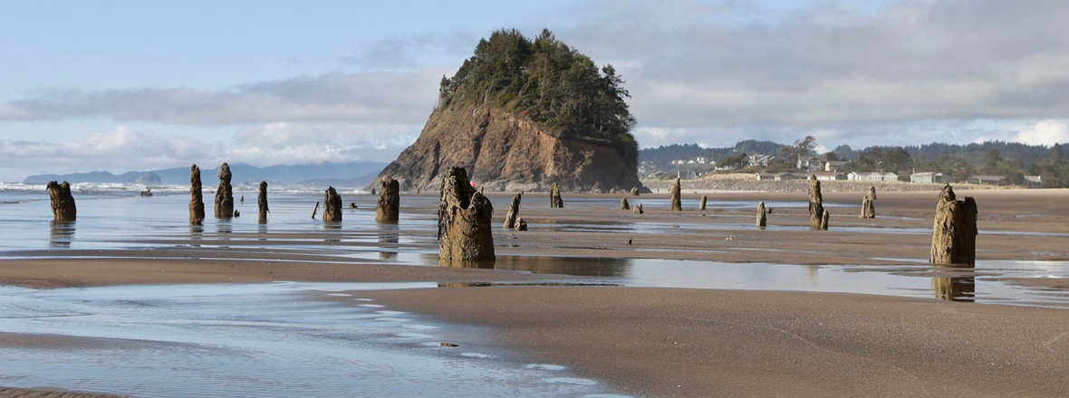 A large rock formation on a sandy beach in the background. On the beach, short stumps rise out of the sand.