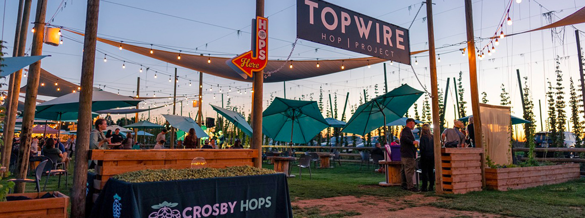 Outdoor event space, with several patio tables and strung lights. A large sign between two tall wooden posts reads Topwire Hop Project