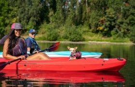 Two people kayaking on a calm river with a small dog sitting in the front kayak.