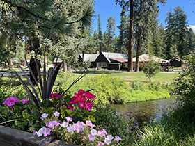 Cabin beside a grassy stream with flowers and tall pine trees on a sunny day.