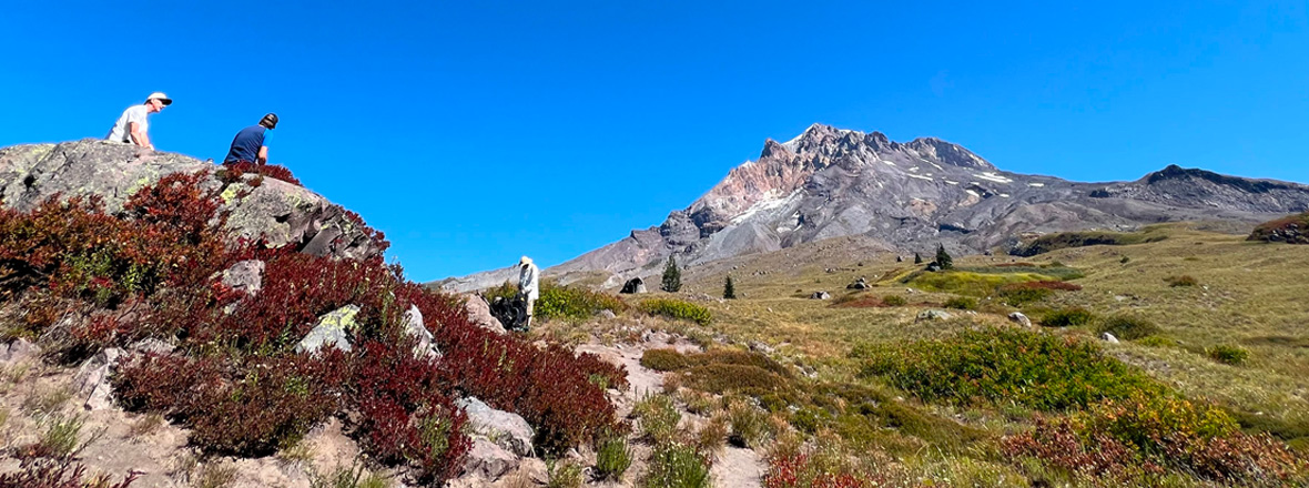 Hikers on a ridge near the top of a mountain.