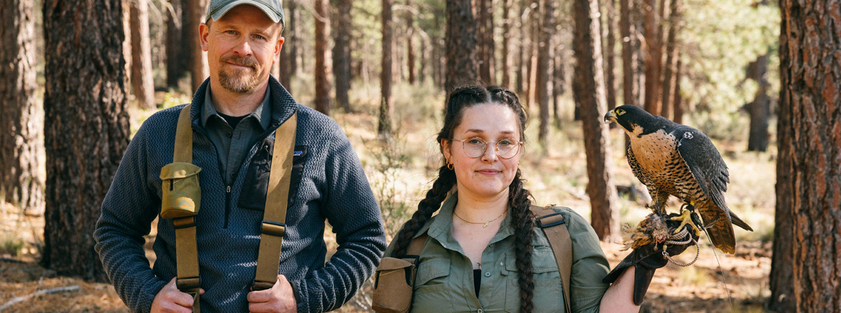 Two bird trainers outside holding a raptor.