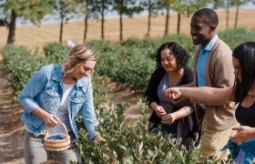 Group of people touring a farm, examining plants and talking with a guide in a cultivated field.