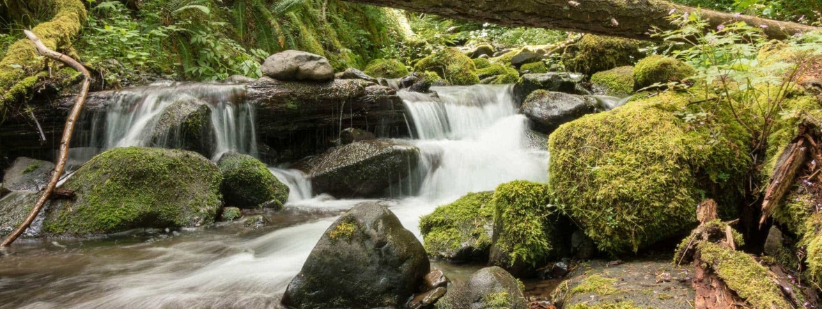 Warren Creek on the Lower Starvation Creek Loop.