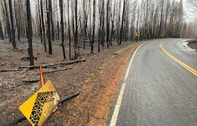 Road winding through a recently burned forest with charred trees and a fallen road sign along the shoulder.