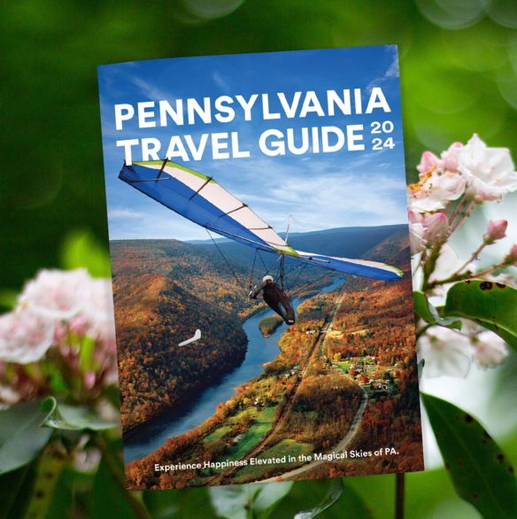 Travel Guide