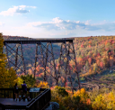 Skywalk above fall foliage