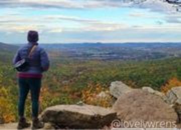 Person standing on an overlook admiring trees whose leaves are turning orange
