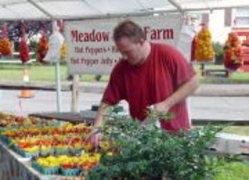 Man picking up yellow peppers from market tent