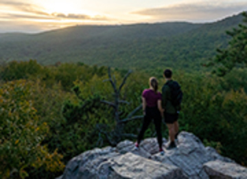 Two people standing on top of a rock overlook admiring green trees