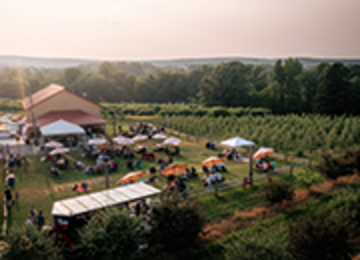 Aerial of outdoor brewery with various picnic tables with umbrellas during sunset