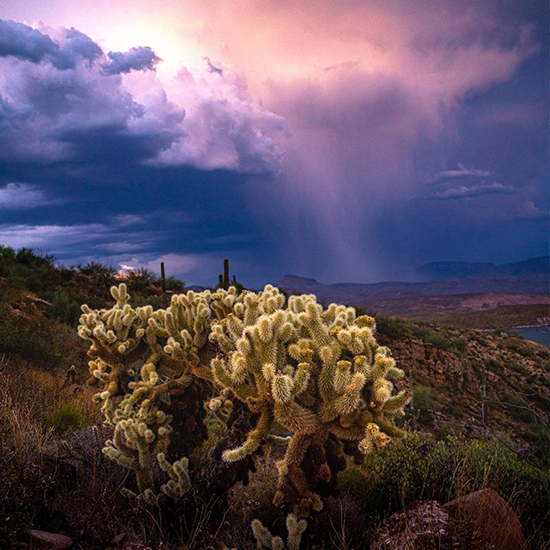The Best Ways to Experience a Monsoon