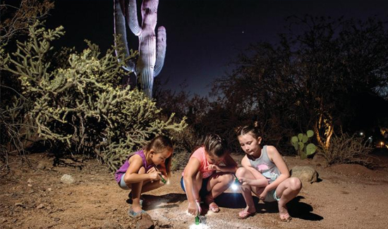 Flashlight Nights at DBG