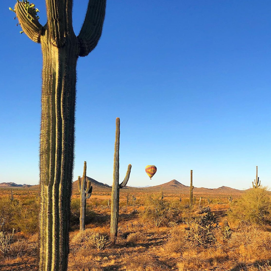Easy Hiking Trails in Phoenix