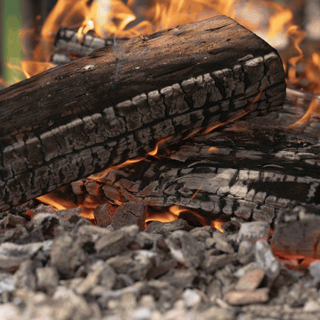 Dine Under the Stars with James Beard Chef Rene Andrade