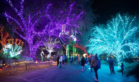 Zoolights