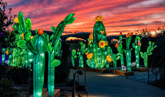 Inaugural Tianyu Lights Festival