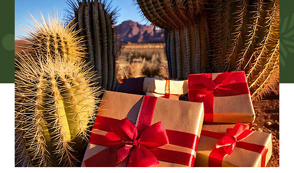 Phoenix’s Guide to Authentic Holiday Gifts
