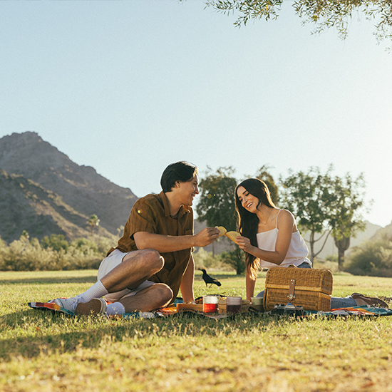 Best Places for a Picnic 