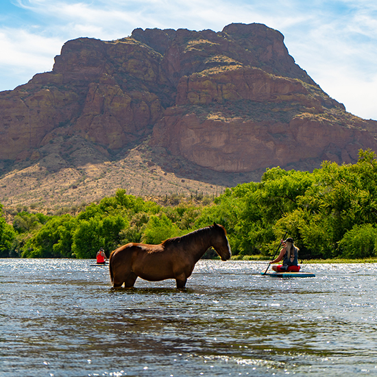 Paddle boarding on the Salt River