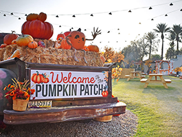 Pumpkin Fest at The Princess