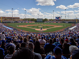 Cactus League Spring Training