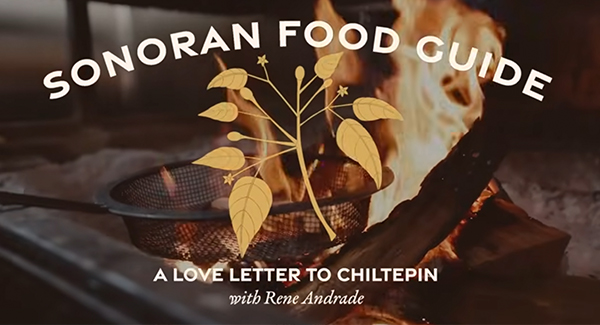 Sonoran Food Guide: A Love Letter to Chiltepin