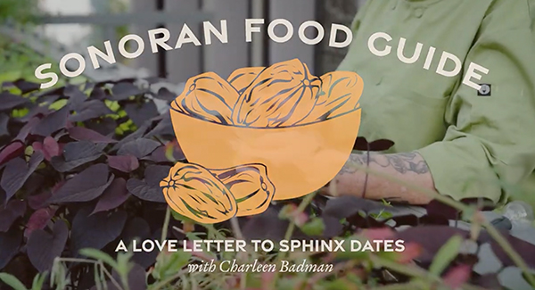 FnB Sonoran Food Guide