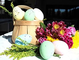 Easter Events