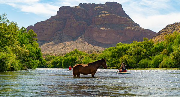 Salt River Season Is Back