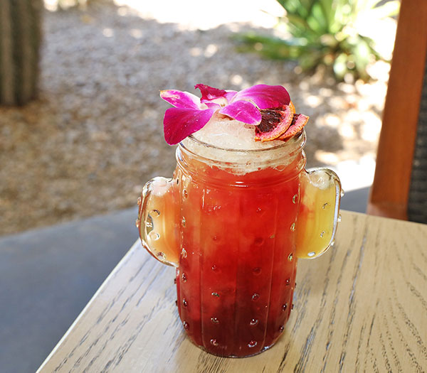 Summer Cocktail Recipes