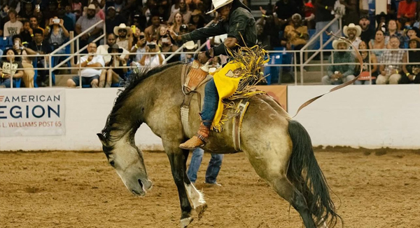 Celebrate Arizona Rodeo Tradition