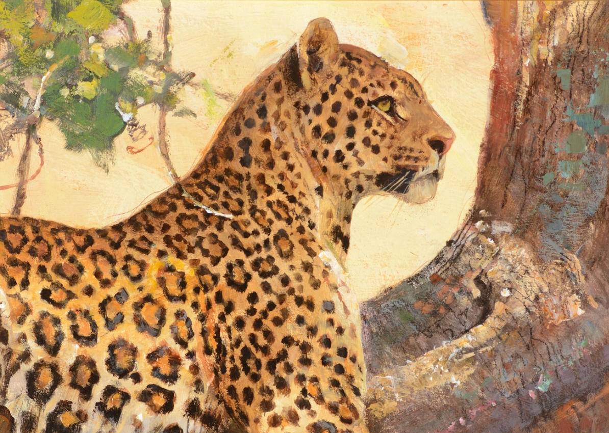 Survival of the Fittest Summer Exhibition