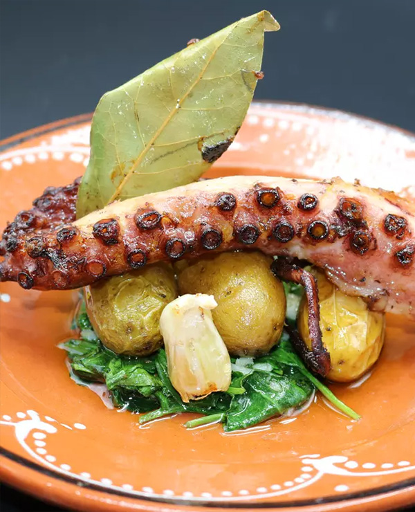 A plate with a grilled octopus tentacle and fingerling potatoes on a bed of spinach.