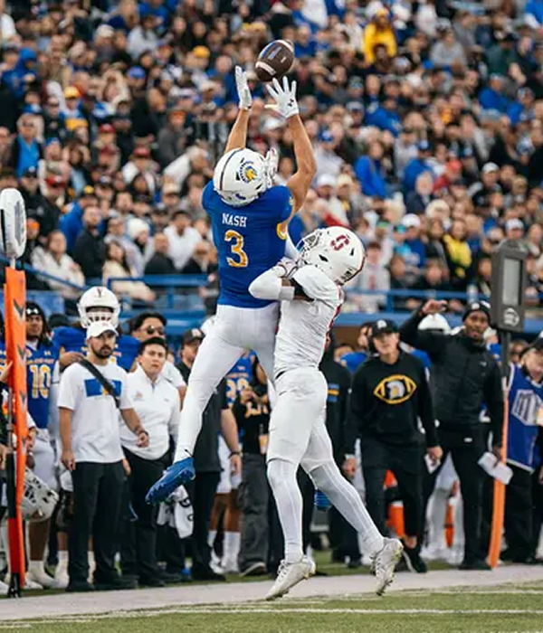 football player making a jumping catch in front of a large crowd.